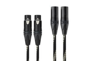 project acc Line DS XLR 1